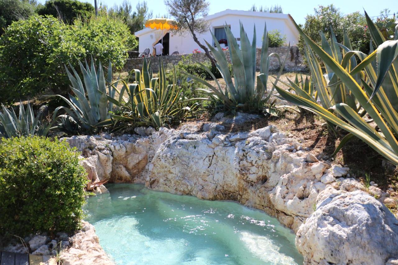 פסקיצ'י Albergo"Villa Biscotti" מראה חיצוני תמונה